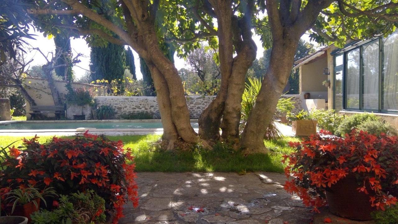 Ferienwohnung Sous Le Figuier... Buisson Exterior foto